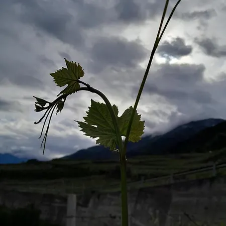Fiordimelo-camere